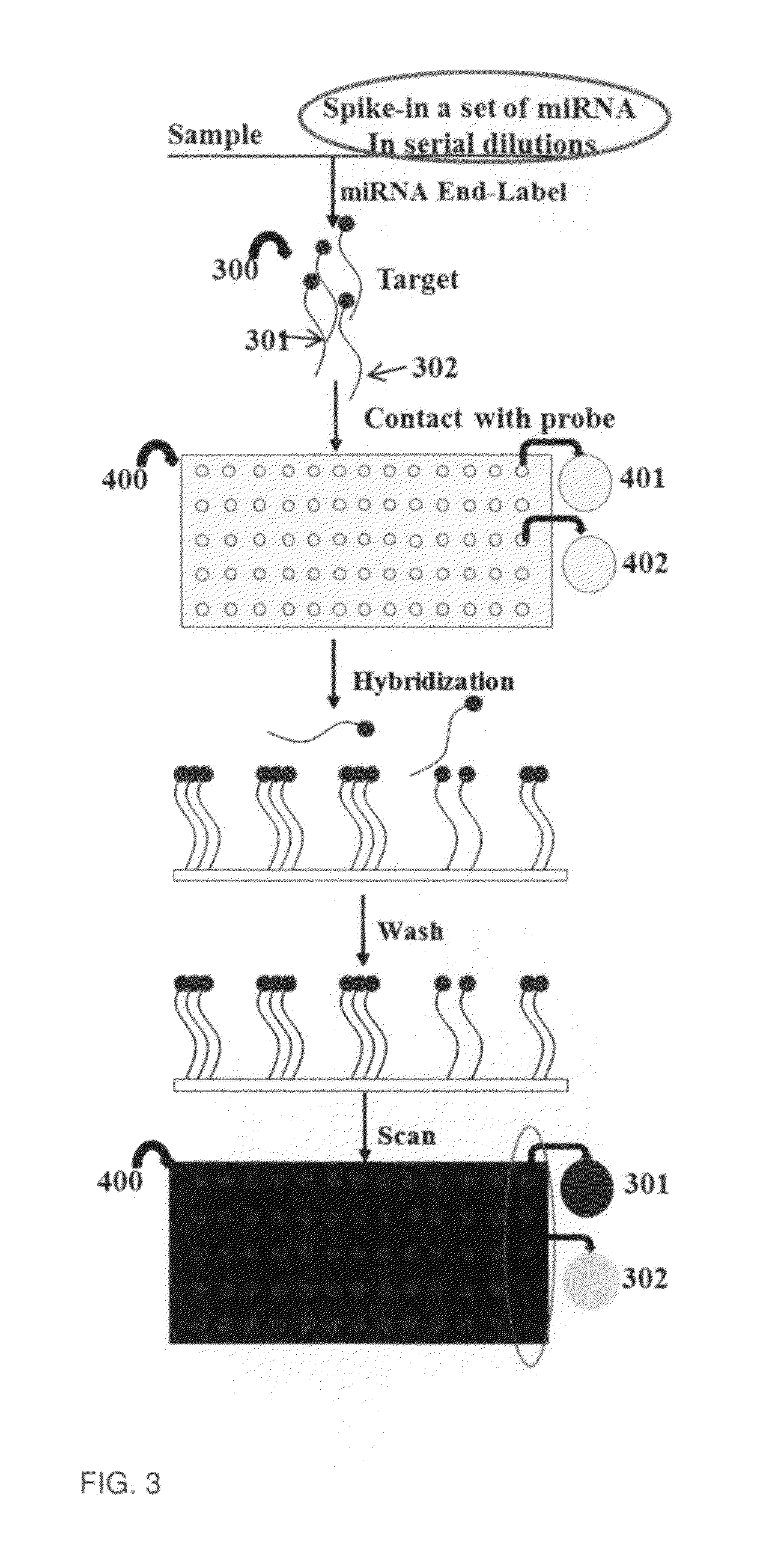 Methods and systems for using built-in standard curve to measure molecular numbers of biological components