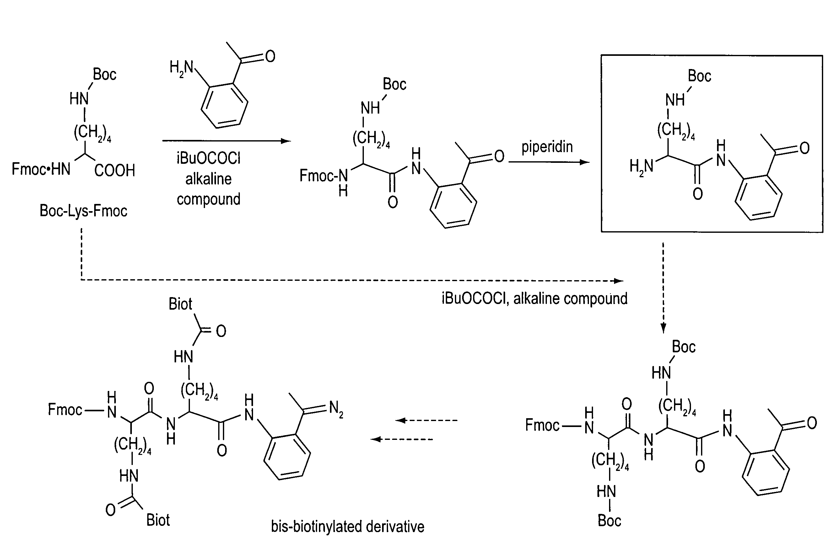 Labeling reagents, methods for synthesizing such reagents and methods for detecting biological molecules