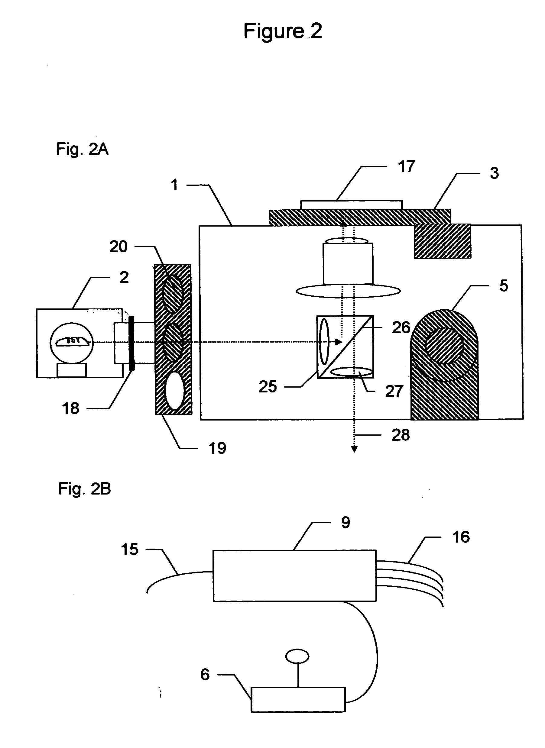 System for cell-based screening