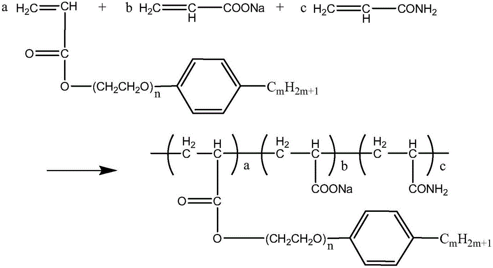 A kind of delayed cross-linking deep profile control agent and preparation method thereof