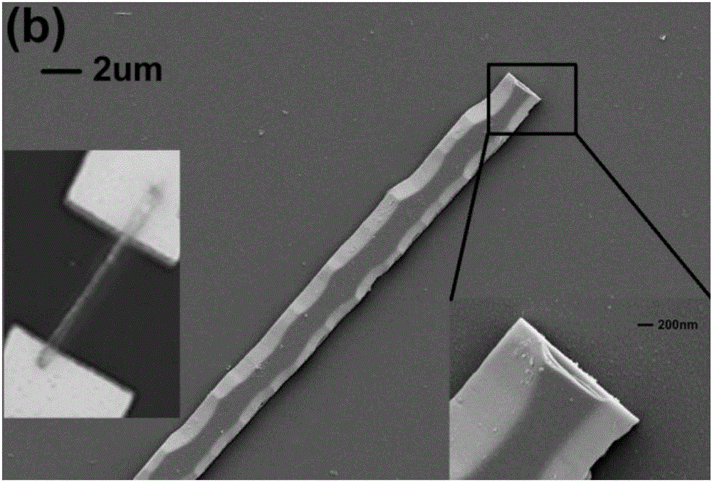 Silicon-doped gallium nitride nanoribbon ultraviolet detector and preparation method thereof