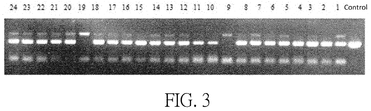 Hepatitis b treatment vaccine base on inactivated whole recombinant hansenula polymorpha cells which expresses hbsag and hbcag