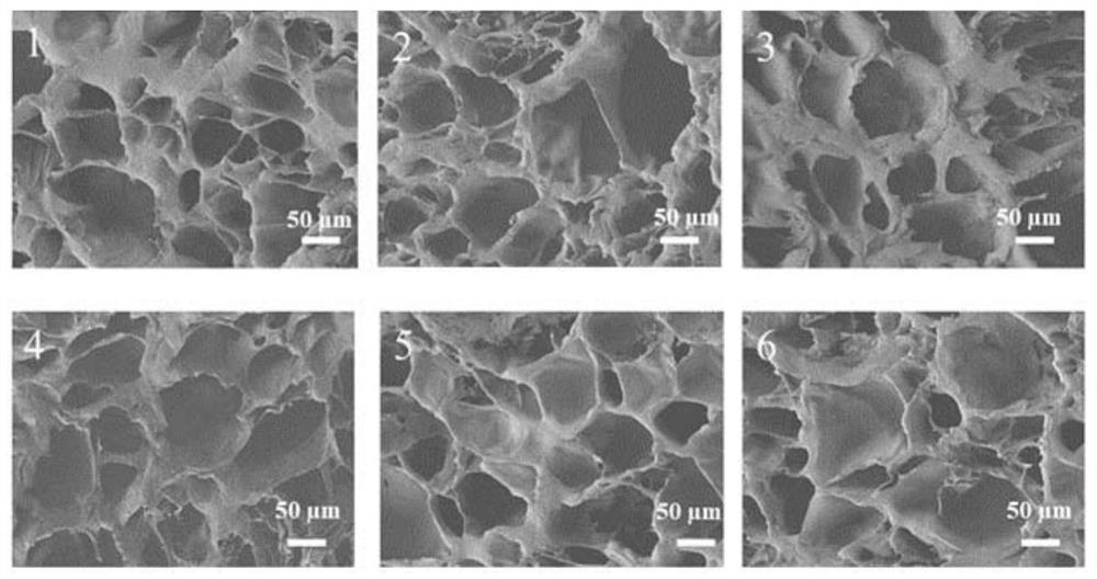 A cartilage tissue engineering scaffold and its preparation method and application