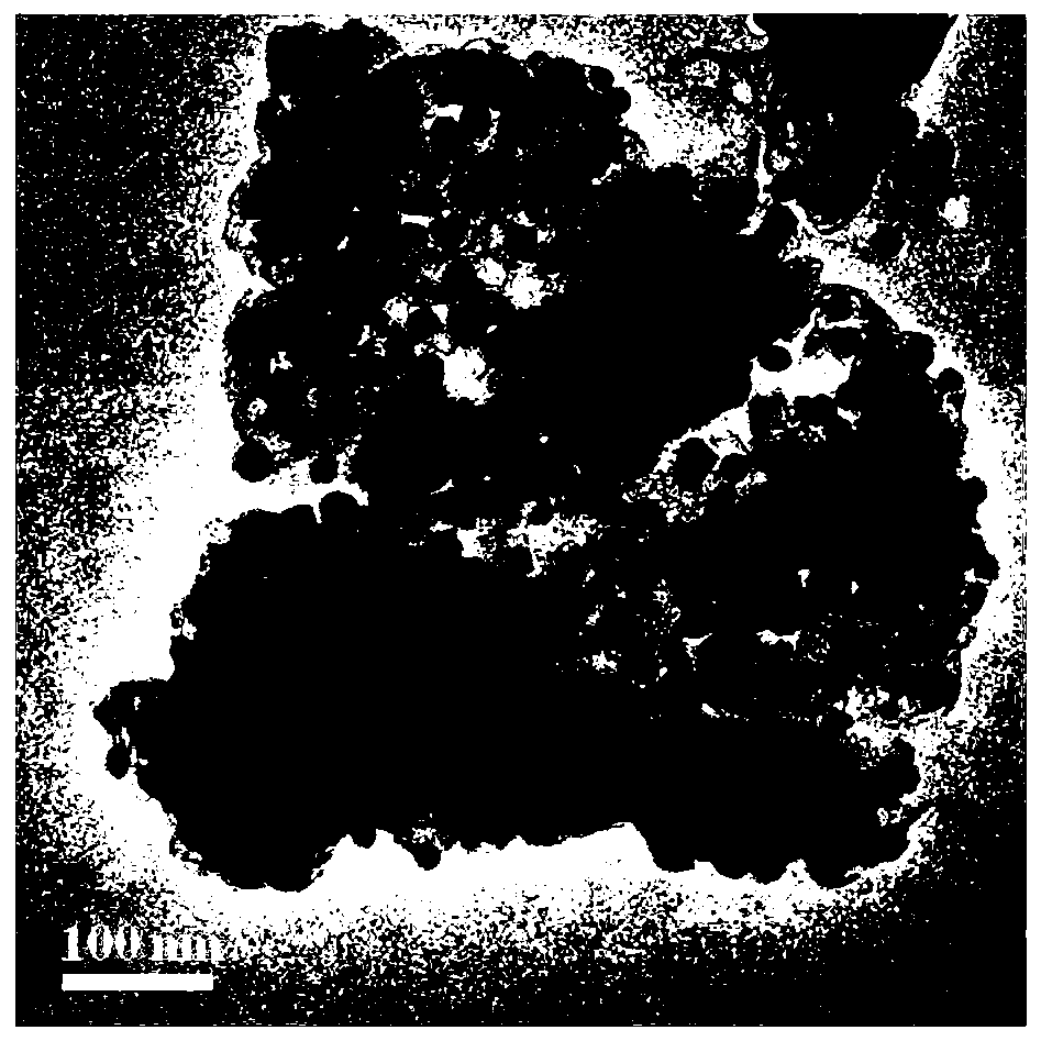 Nitrogen-doped carbon material supported by cobalt nitride and preparation method thereof