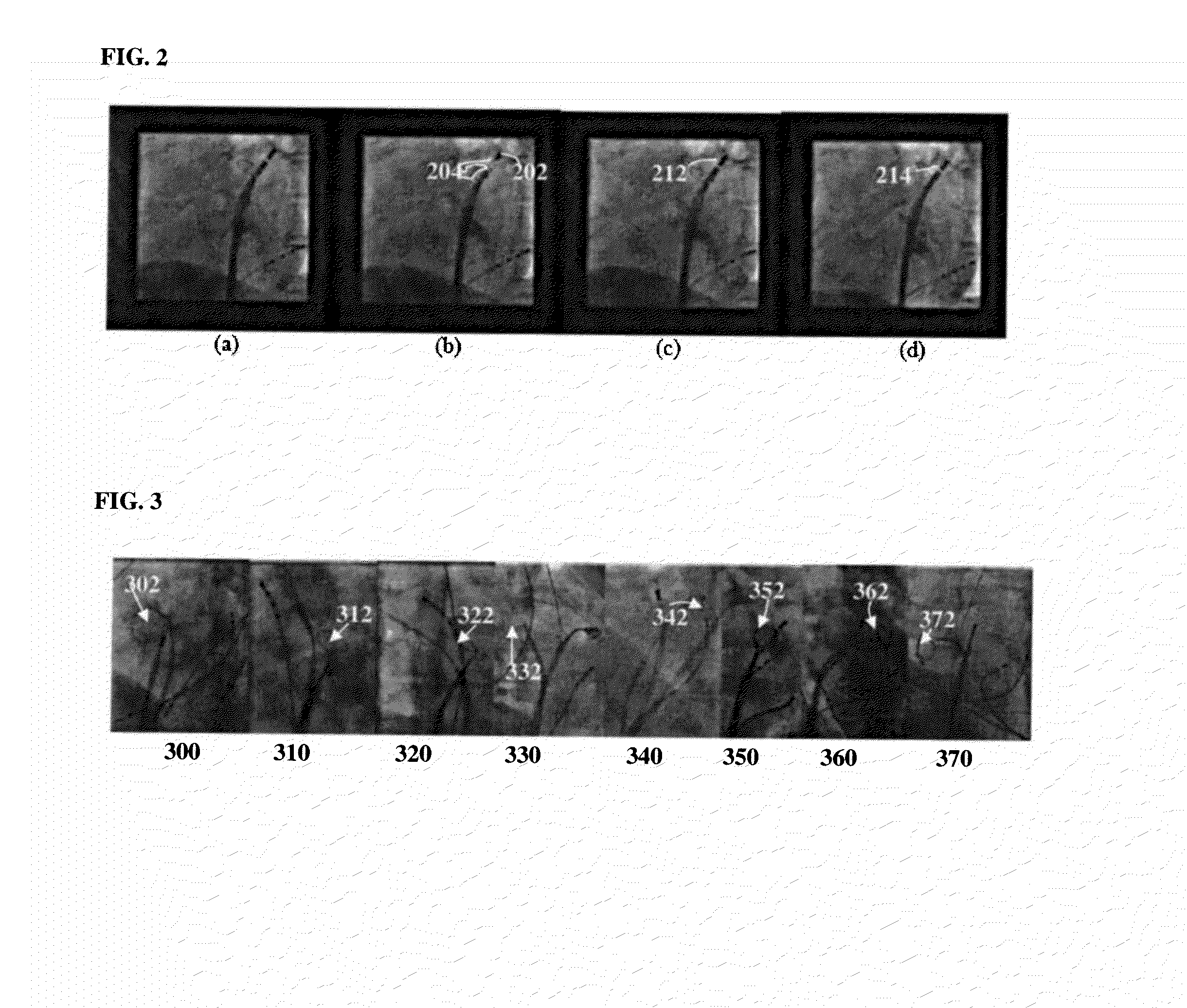 Method and System for Ablation Catheter and Circumferential Mapping Catheter Tracking in Fluoroscopic Images