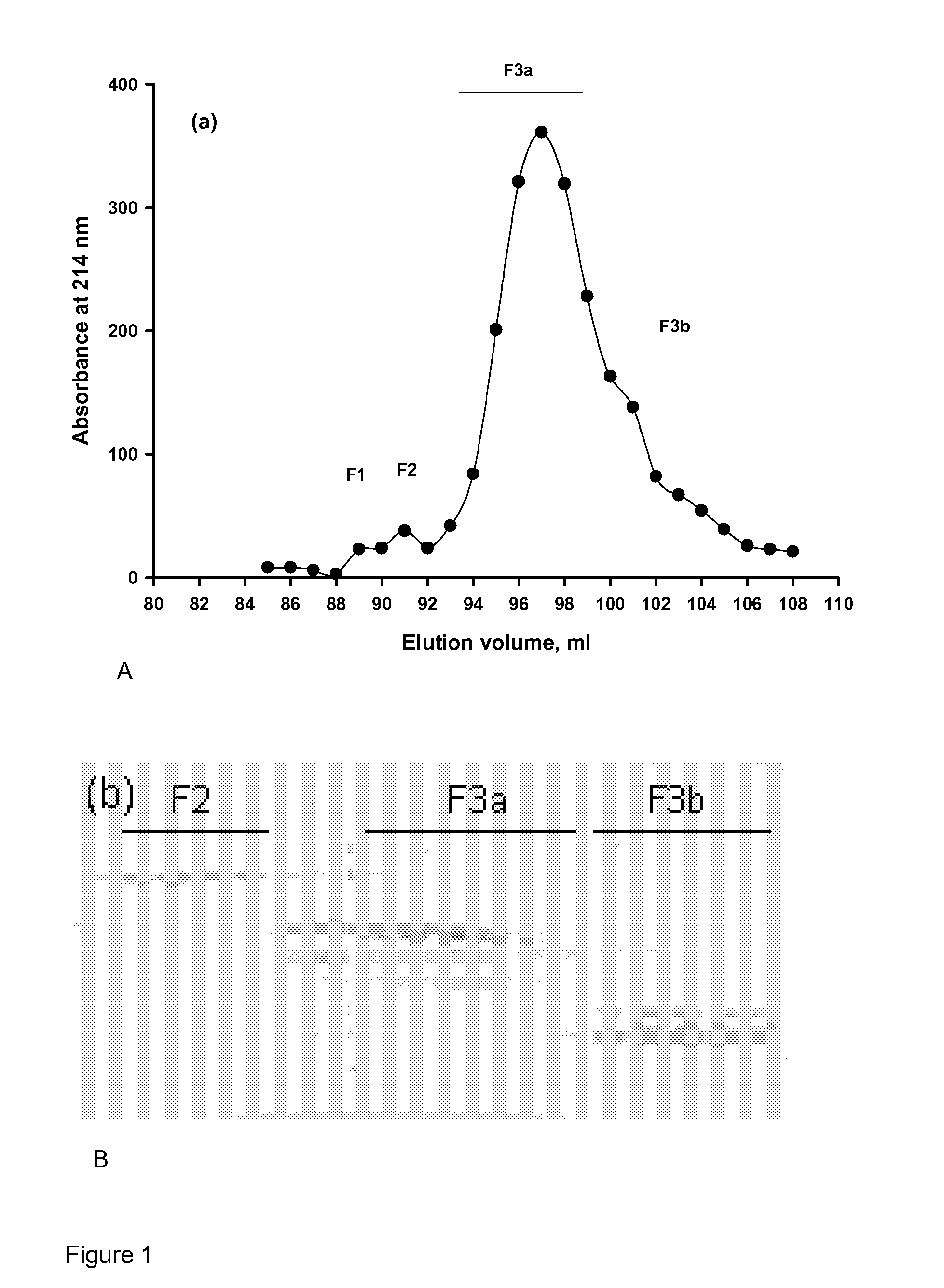 Phosphopeptides and use of the same