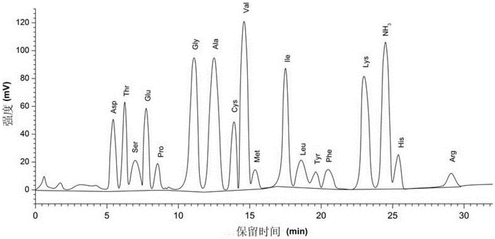 Rana chensinensis egg peptide as well as preparation method and application thereof