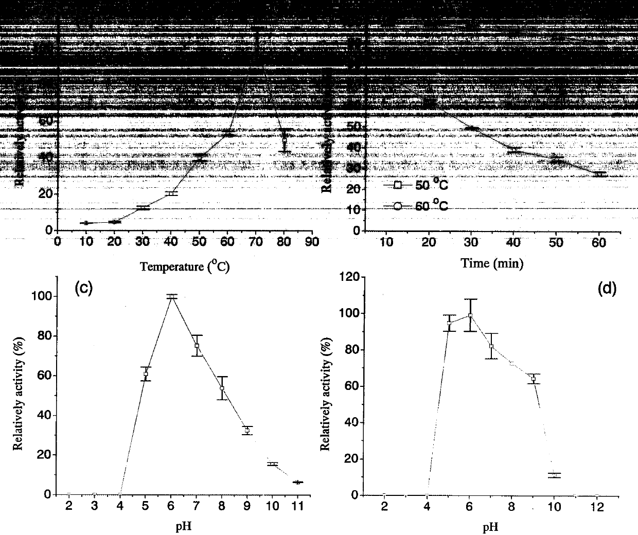 A kind of chymosin gene and its coded amino acid sequence and application