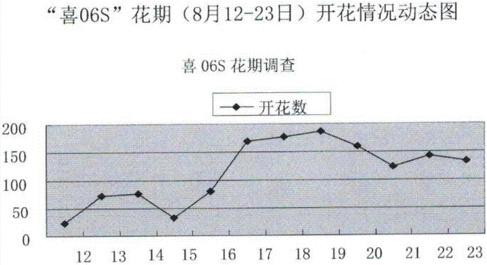 Method for selecting and breeding high-quality photo-thermo-sensitive two-line sterile lines by induced mutation of sterile lines