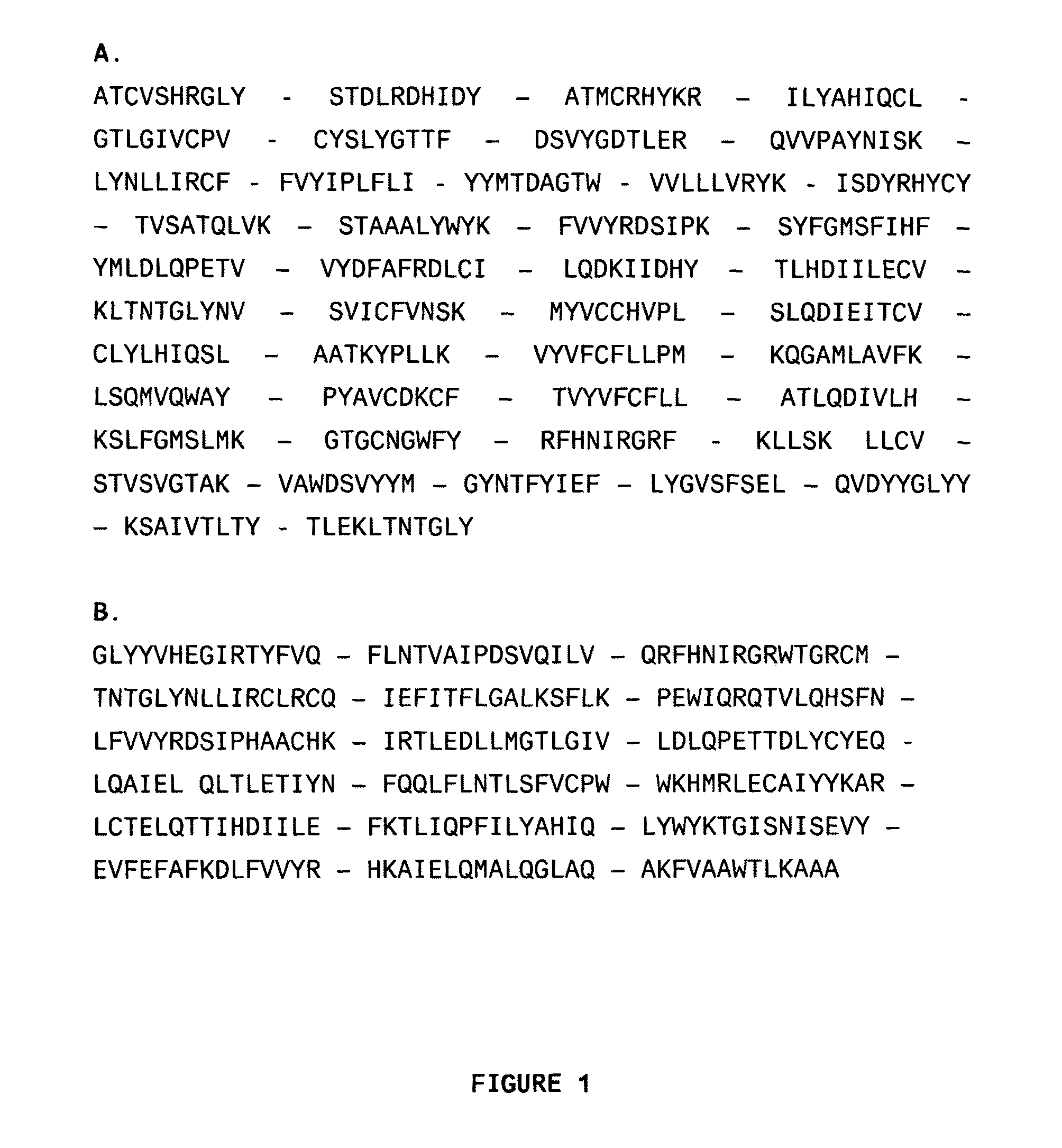 HPV polyepitope constructs and uses thereof