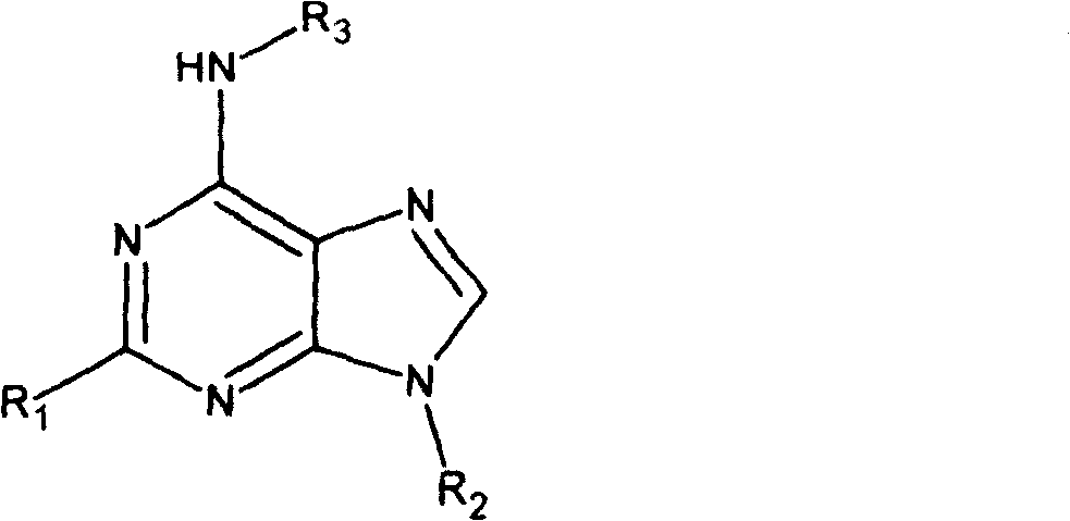 Adenine kind derivative and its synthesis method