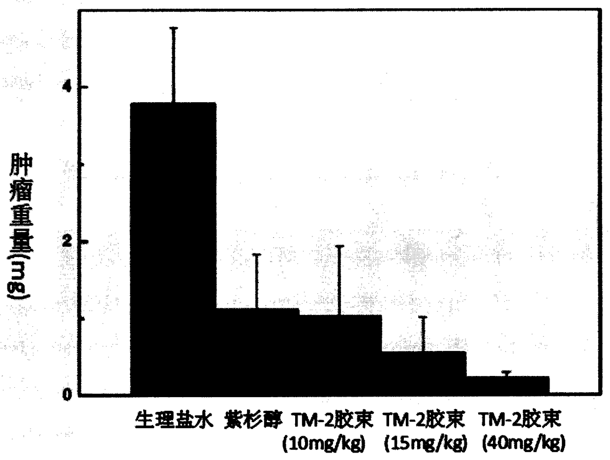 Taxane derivative TM-2 micellar injection, preparation method thereof and application thereof