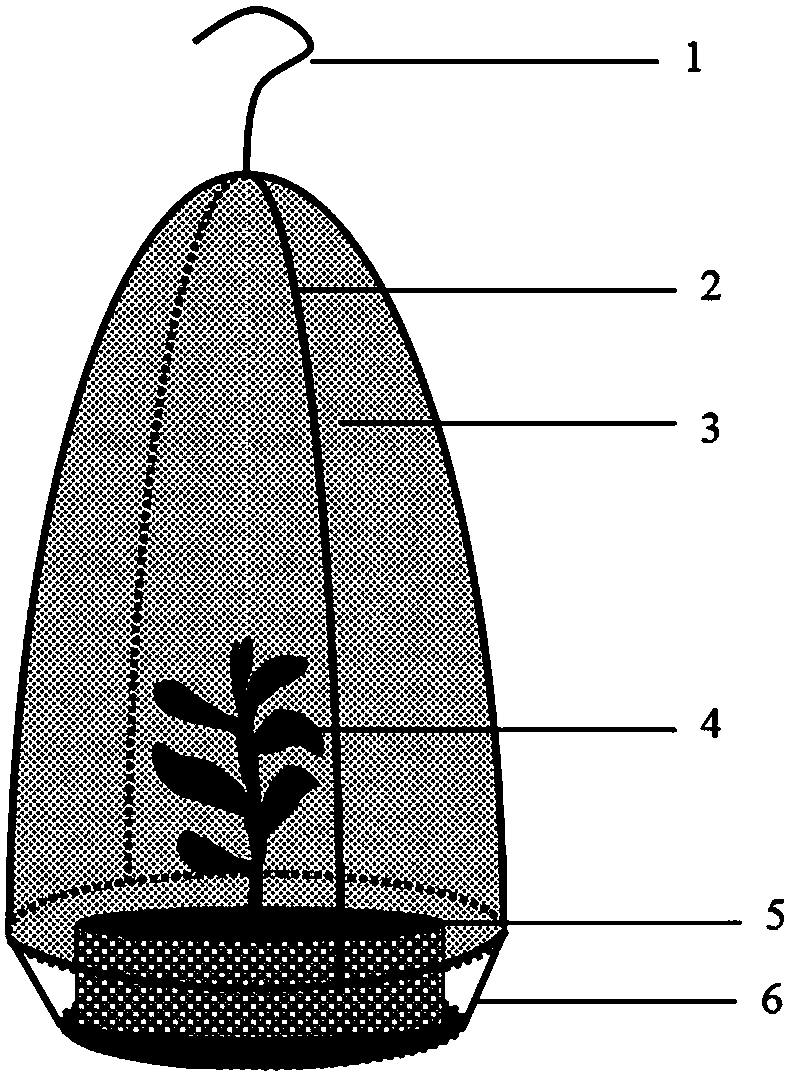 Cultivation device of anoectochilus roxburghii and method thereof