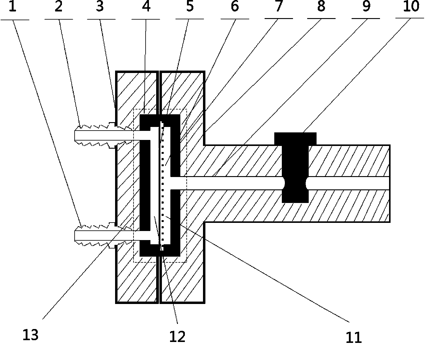 Membrane feeding device on gas analysis mass spectrometer