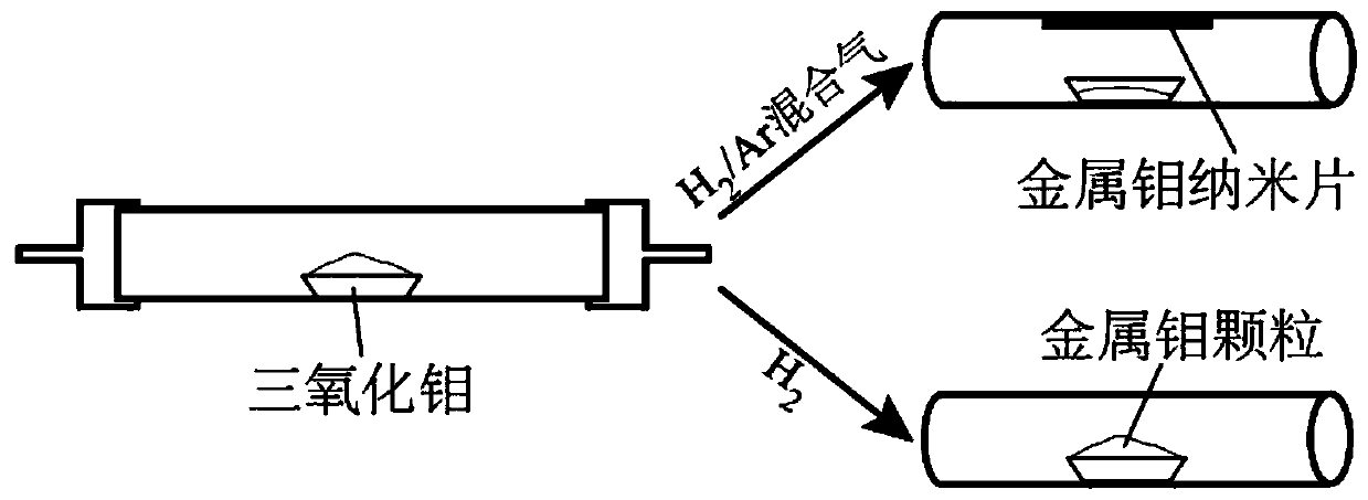 A kind of preparation method of metal molybdenum nano sheet