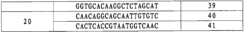 Molecular mark SIsvo188 closely linked with herbicide-resistant gene in foxtail millet