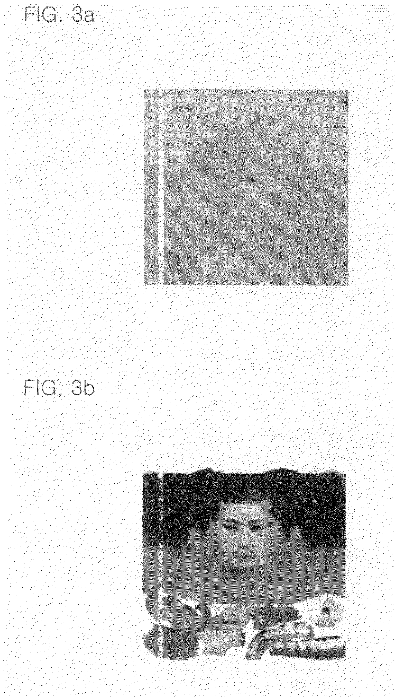 Method and apparatus for rendering efficient real-time wrinkled skin in character animation