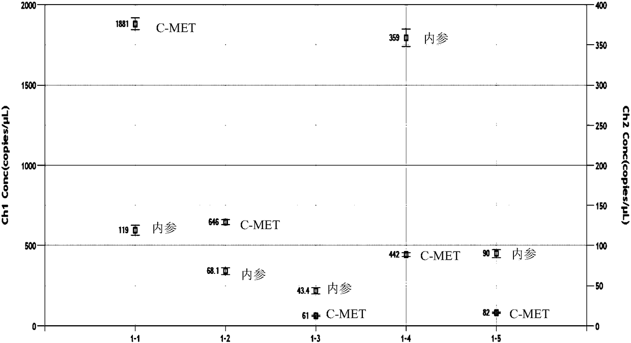 Primer and probe for detecting c-MET gene amplification through digital PCR technology and detection method thereof