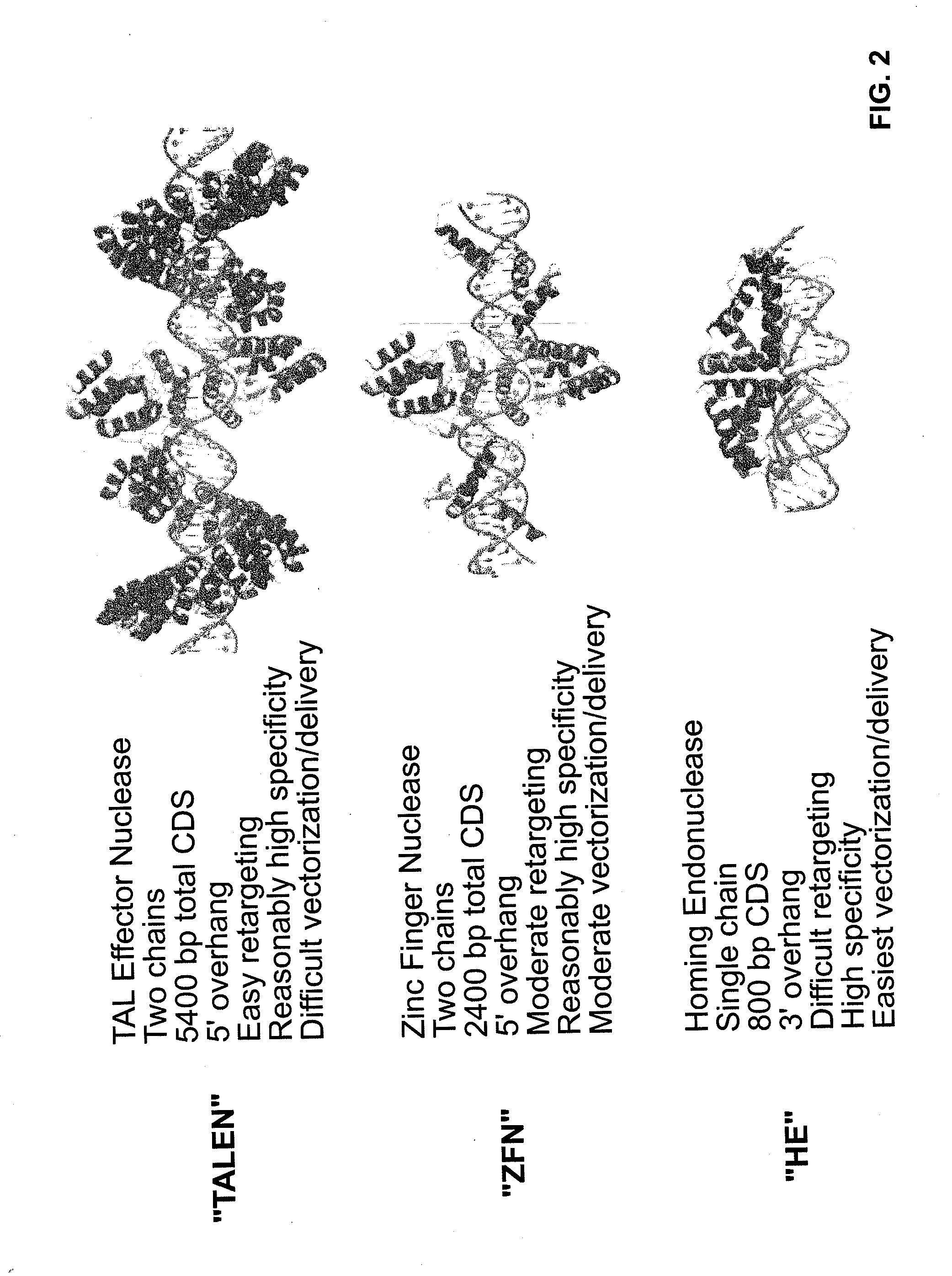 Compositions and methods for the treatment of hemoglobinopathies
