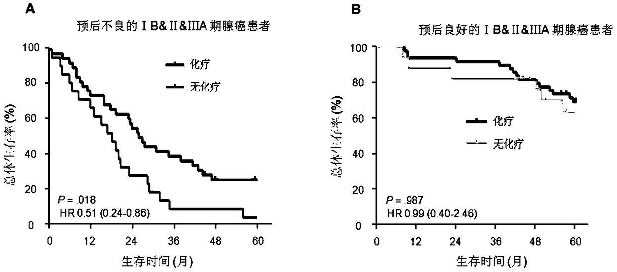 A system for predicting the prognosis of patients with lung adenocarcinoma and judging the benefit of adjuvant chemotherapy