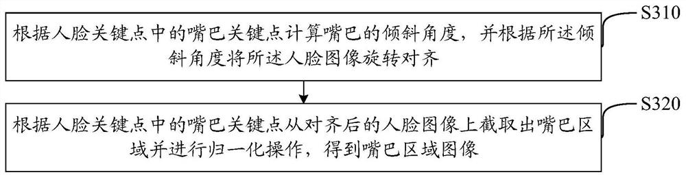 Mouth occlusion judgment method and device, computer readable storage medium and equipment