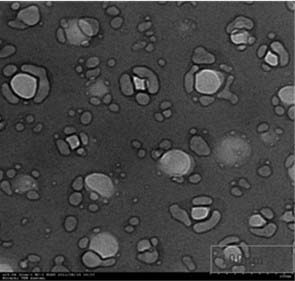 Edible nano-scale beta-carotene emulsion free from high pressure homogenization and preparation method thereof