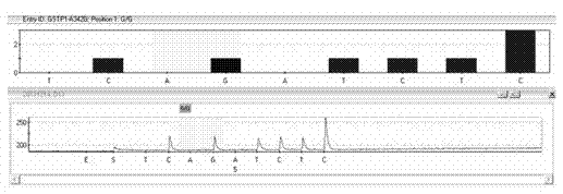 Kit for detecting glutathione S-transferase pi 1 (GSTP1) gene polymorphism by using pyrosequencing method and method