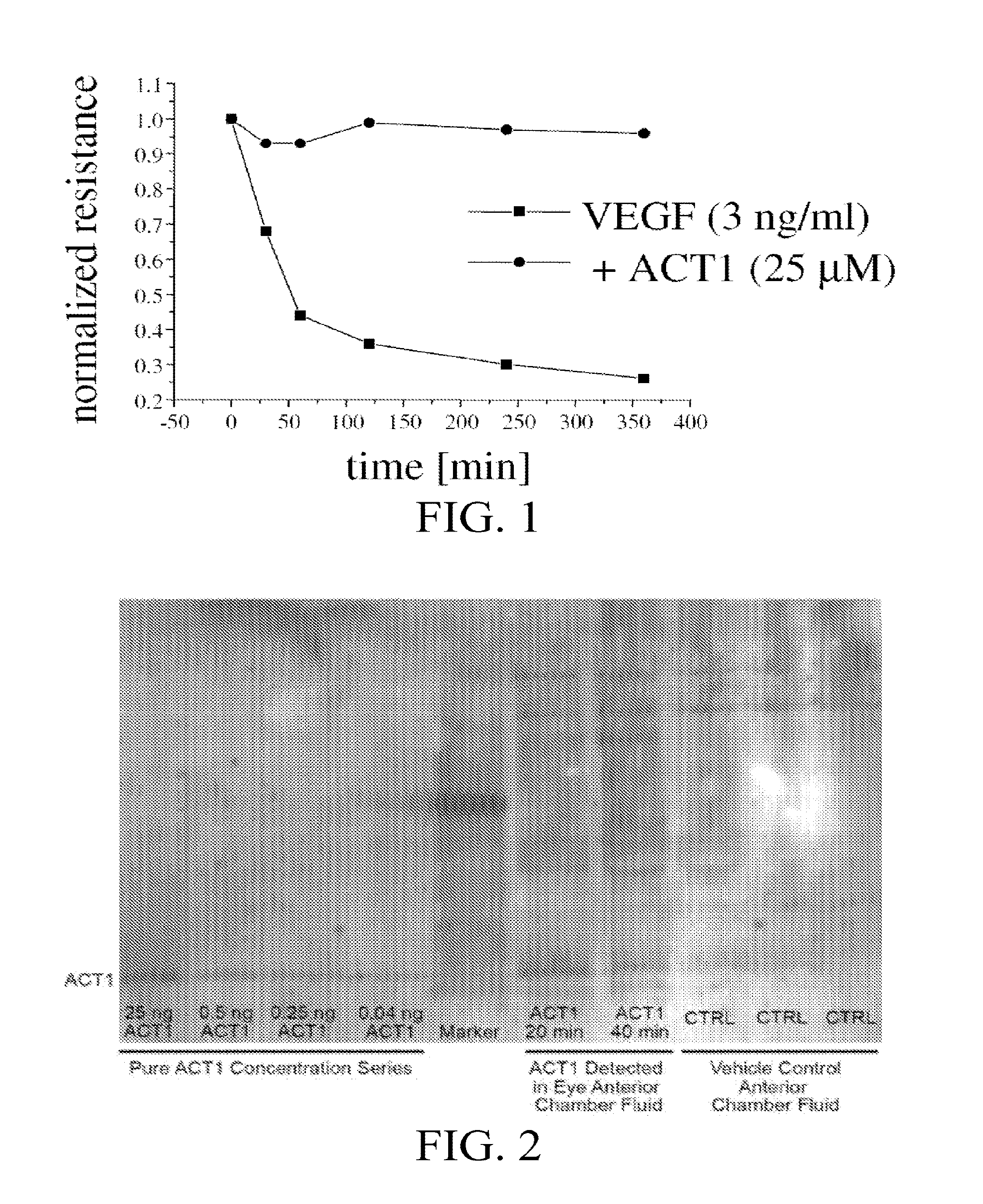 Alpha Connexin c-Terminal (ACT) peptides for use in transplant