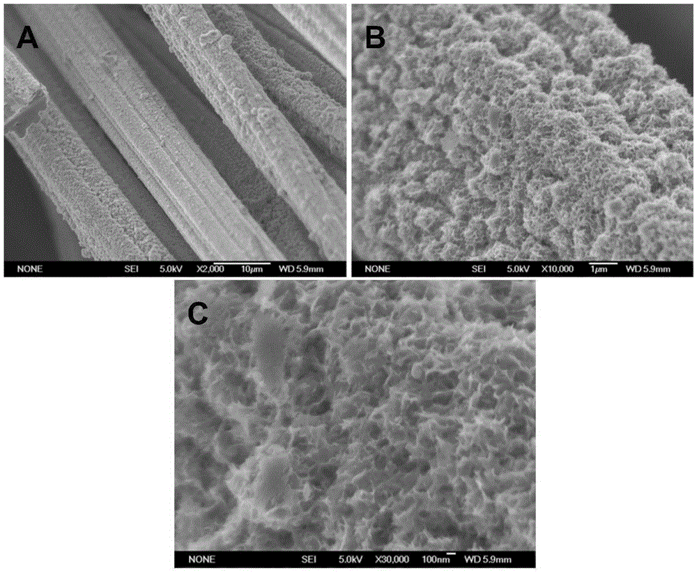 Carbon fiber supported cobalt sulfide nanosheet catalyst and application thereof