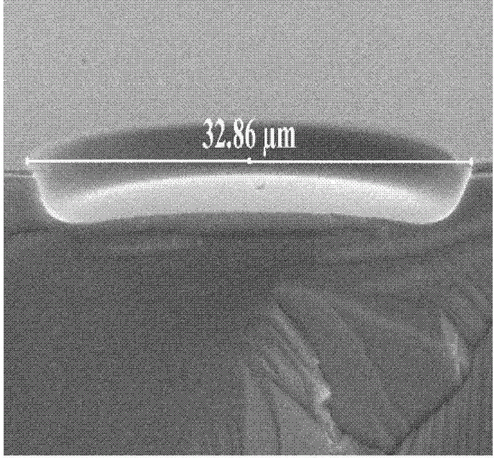 Method for manufacturing micro-lens array