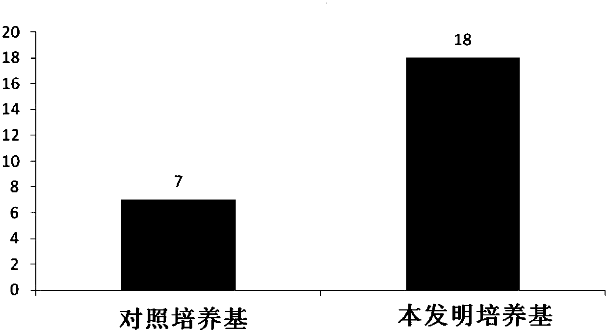 Human primary cell culture medium and application thereof