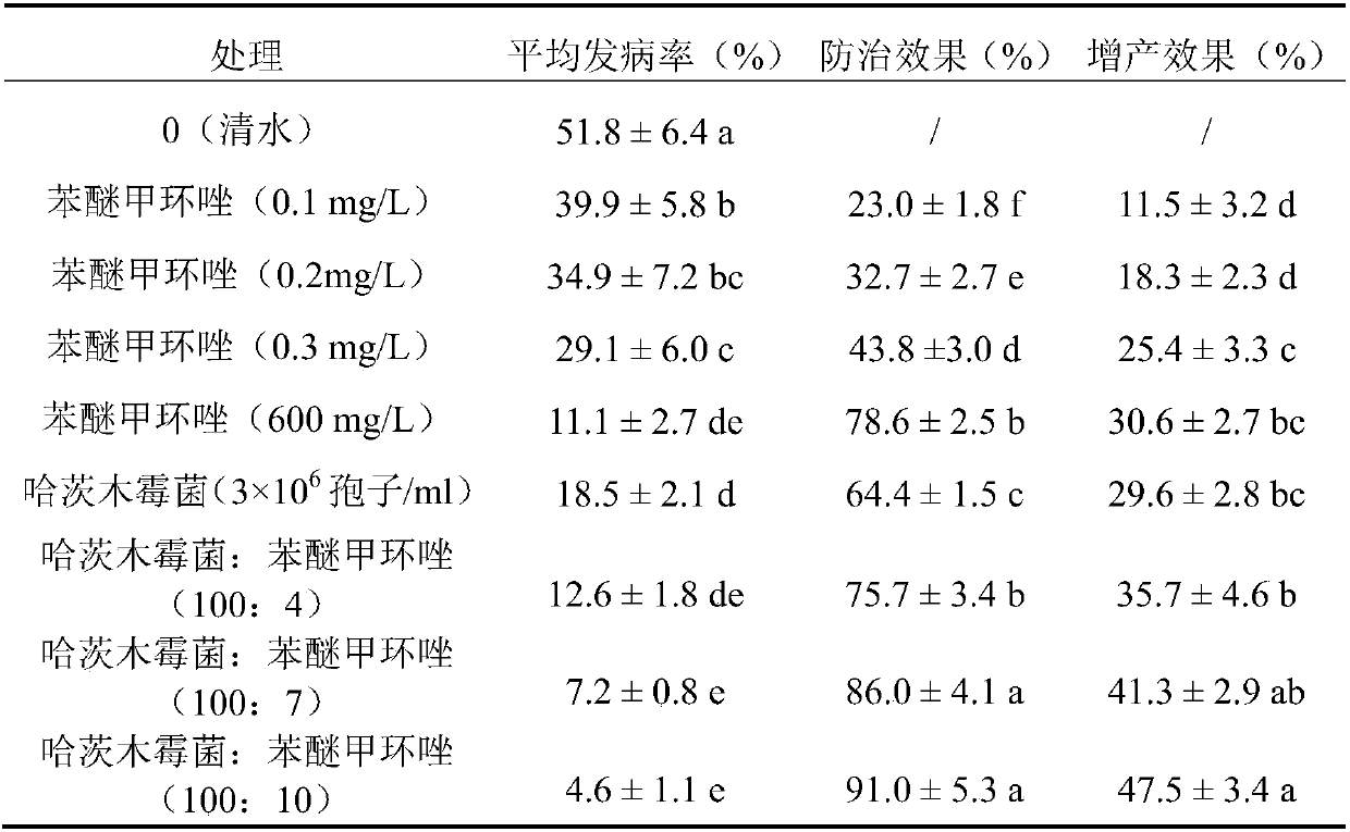 Compound microbial bactericide for controlling mulberry sclerotiose and application of bactericide