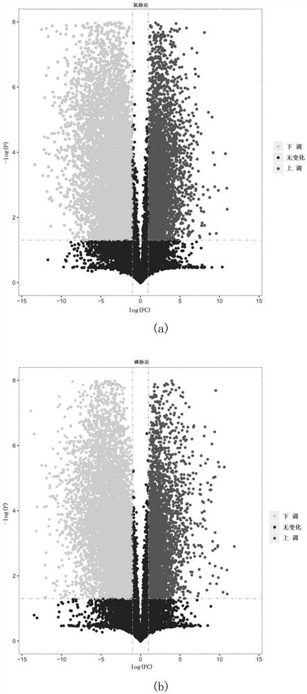 A method for evaluating the nutritional status of crops in latent nutrient deficiency period using sensitive metabolites