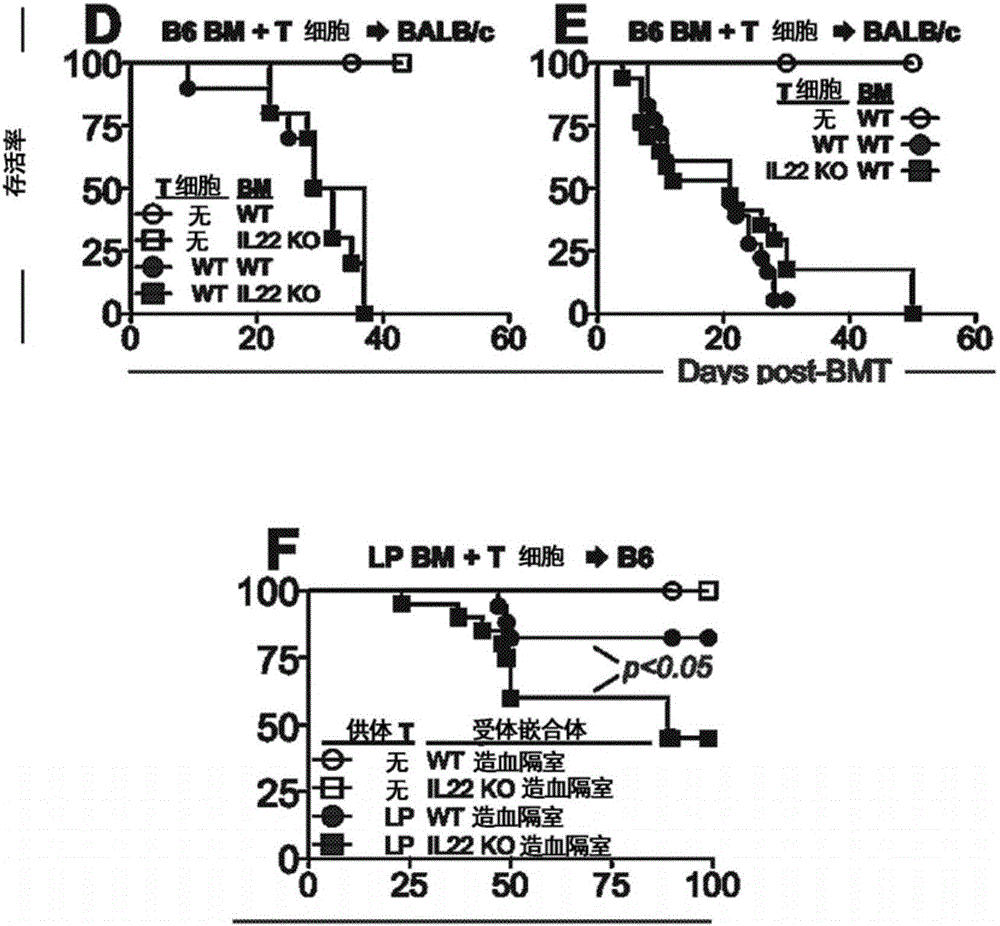 Methods of use for IL-22 in the treatment of gastrointestinal graft vs. host disease
