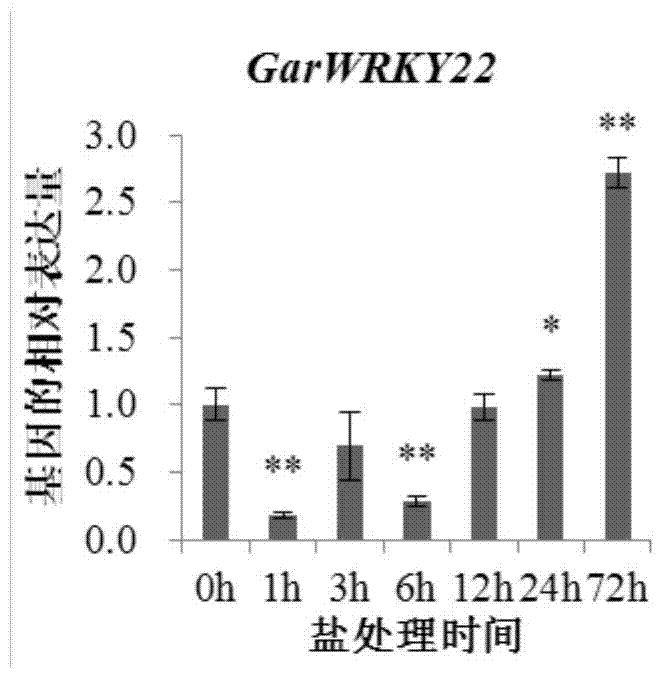 Cotton WRKY transcription factor GarWRKY22 for regulating salt tolerance of plants and application thereof