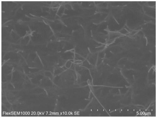 Carbon nanotube antistatic material, slurry, film and preparation method of film