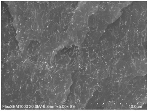 Carbon nanotube antistatic material, slurry, film and preparation method of film
