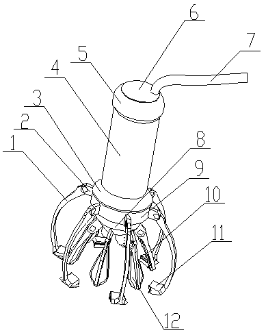 Coconut end cap cutting device for food processing