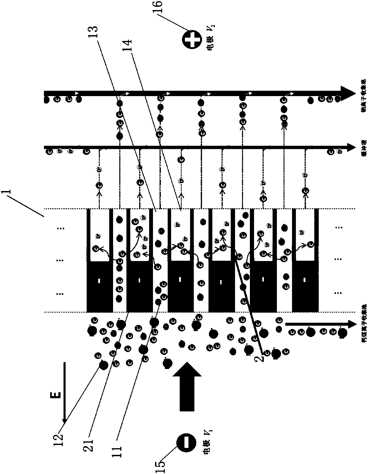 A brine refining device and method for directly removing calcium and magnesium