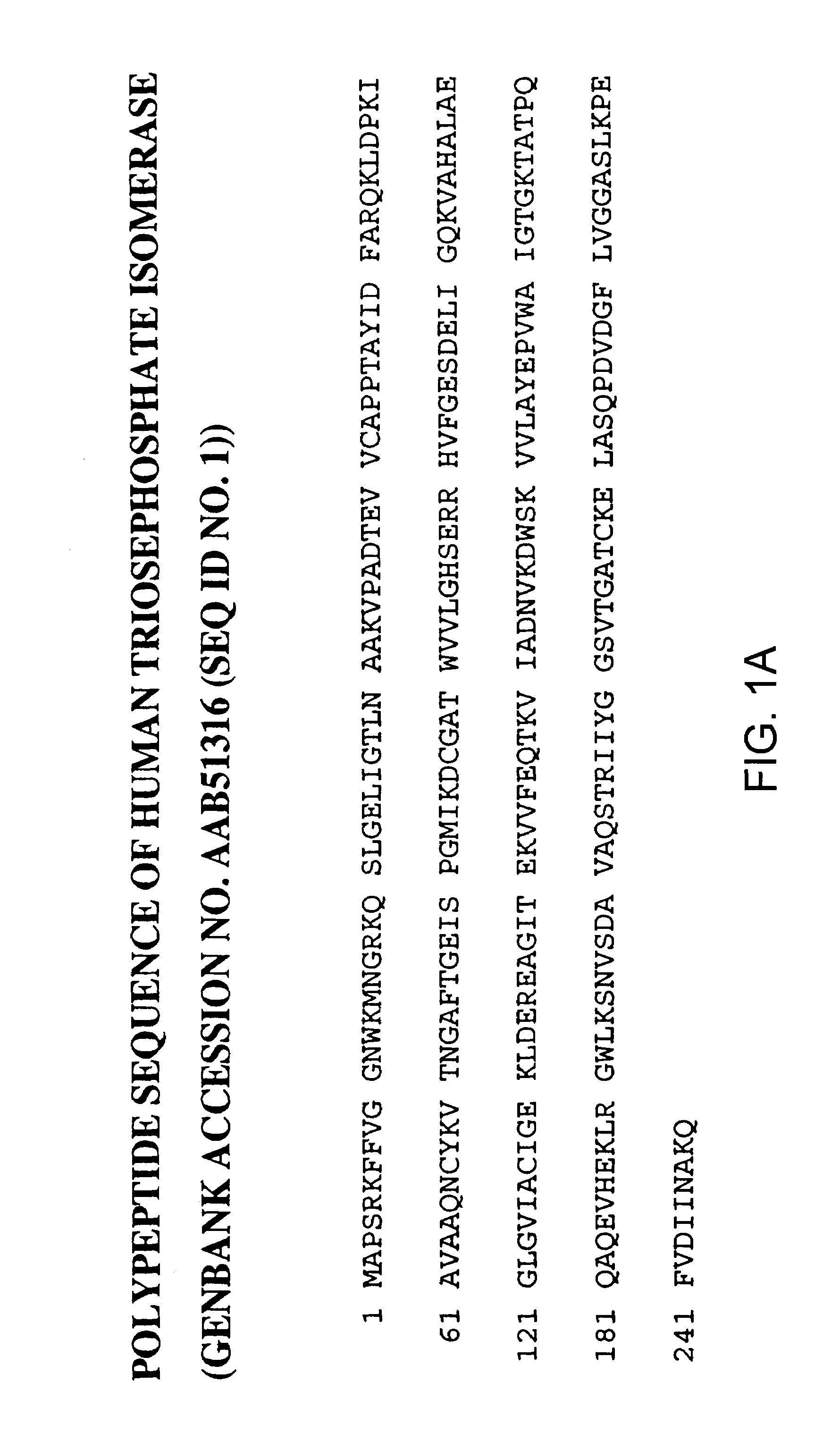 Triosephosphate isomerase directed diagnostics and therapeutics for multidrug resistant neoplastic disease