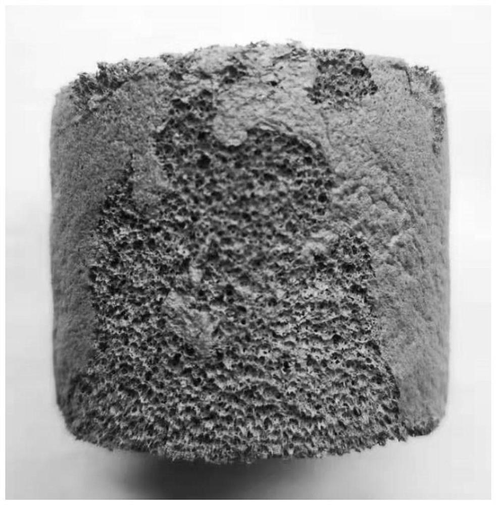 Black talc-polyvinyl formal gel composite adsorption material