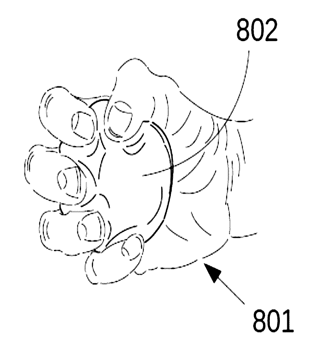 System and method of haptic feedback by referral of sensation