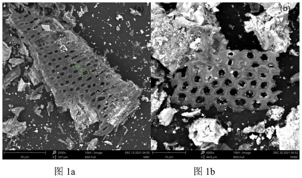 Preparation method and application of ferromagnetism-rich biochar for synchronously treating cadmium and arsenic in freeze-thaw environment