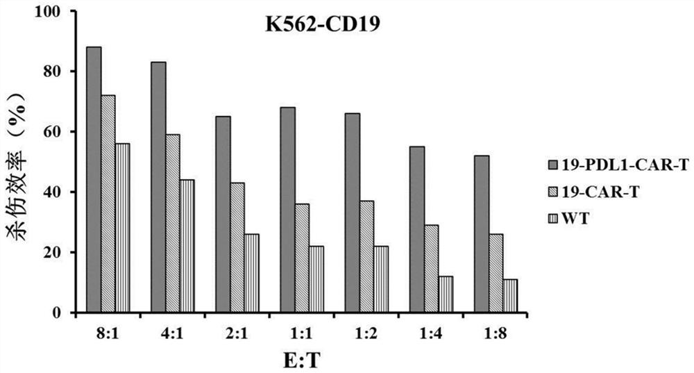 CD19 and PD-L1 dual-target chimeric antigen receptor and its application