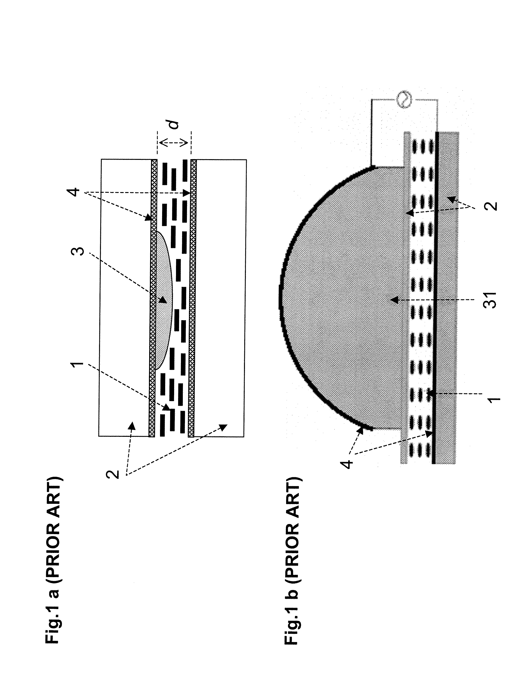 Method and apparatus for spatially modulated electric field generation and electro-optical tuning using liquid crystals