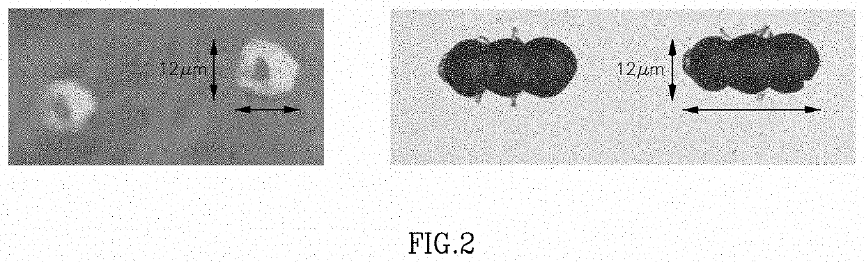 Method and apparatus for directional skin tightening