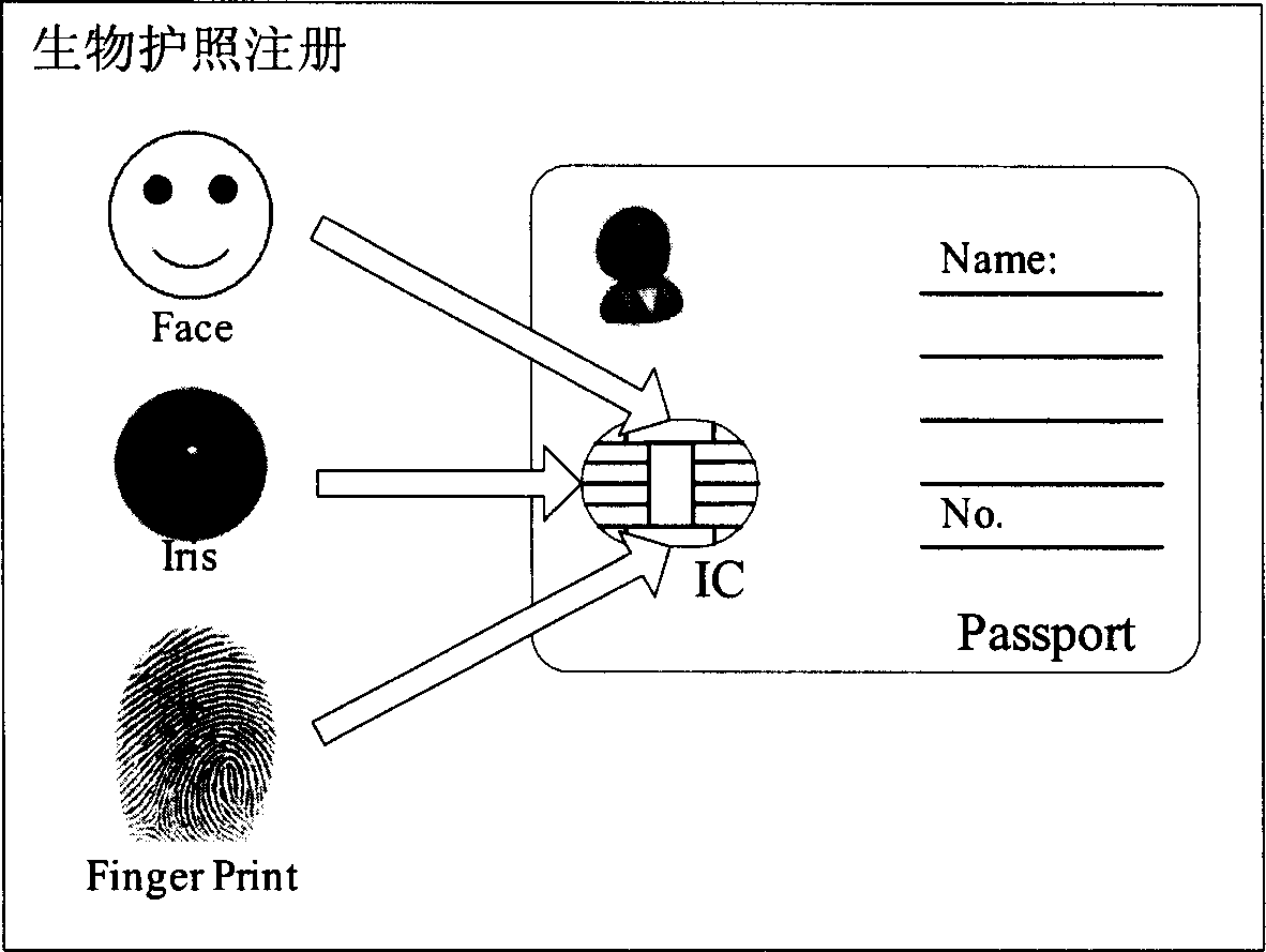 Quick custom clearance method based on biological passport