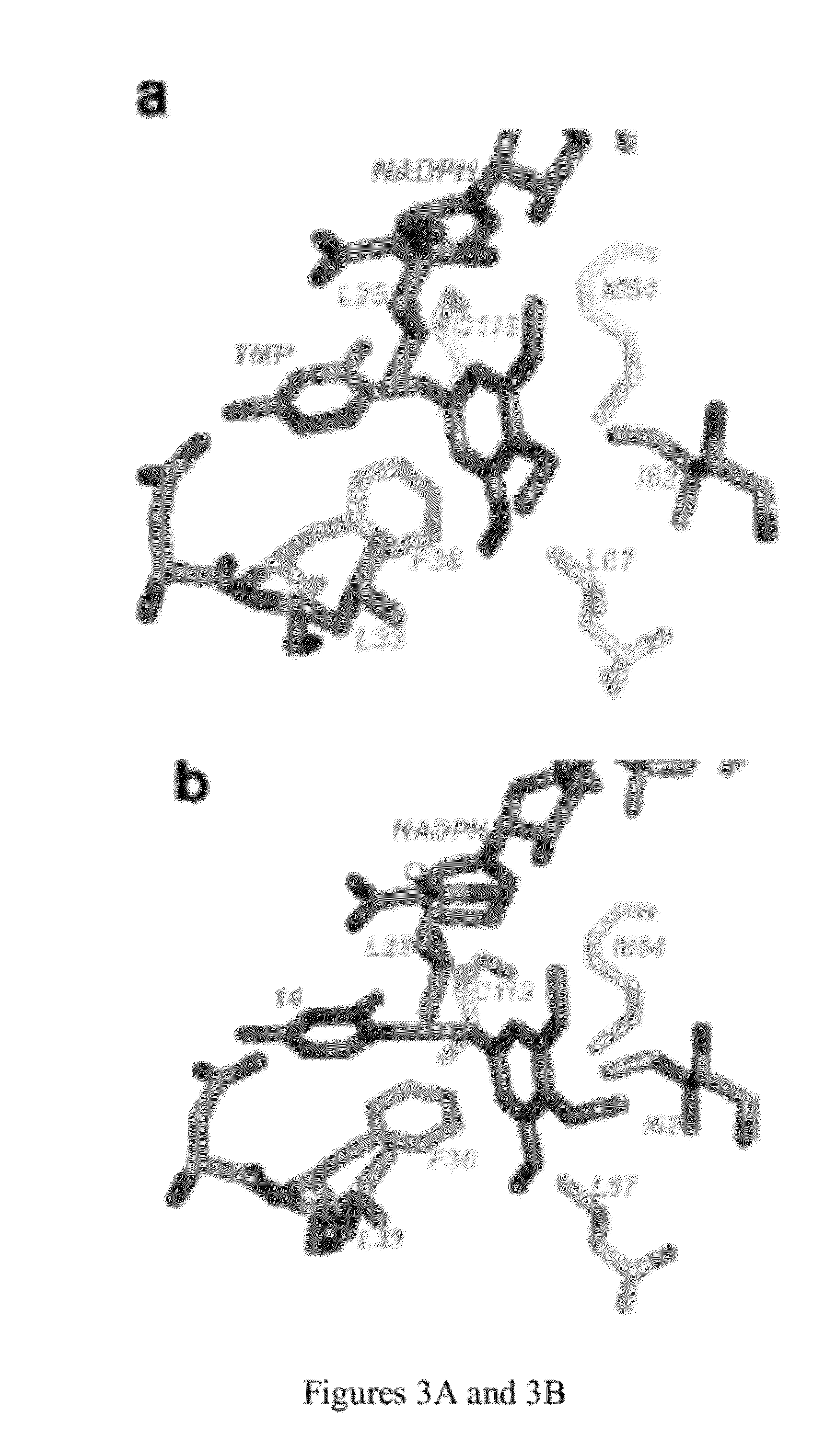Heterocyclic analogs of propargyl-linked inhibitors of dihydrofolate reductase
