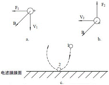 A kind of electrofiltration membrane and its preparation method and application