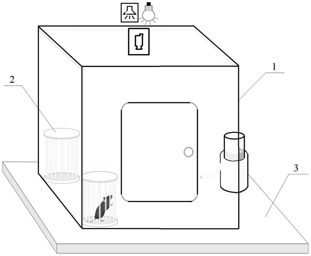 A device and method for detecting social interaction decision-making behavior of mice